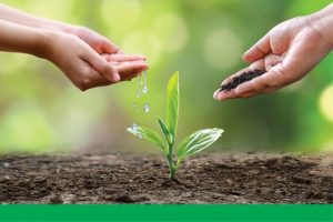 giá trị cốt lõi