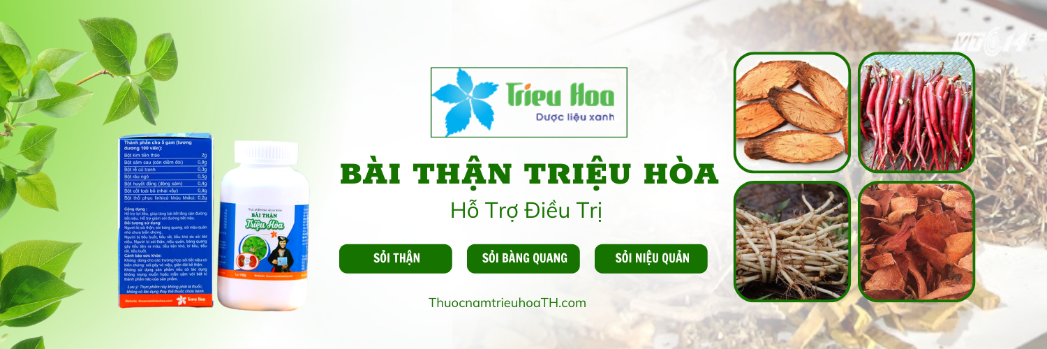 thuốc nam Triệu Hòa