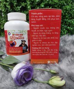 AN TIÊN ĐAN TRIỆU HOÀ